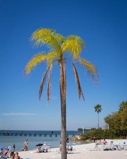 Sunsetview Studio116 Beach Steps Away Pool Wifi 拉斯金 外观 照片